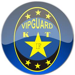 SC Vipguard SRL