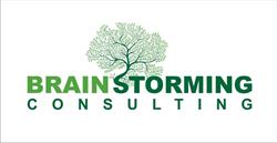 Brainstorming Consulting SRL