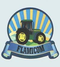 Flamicom SRL