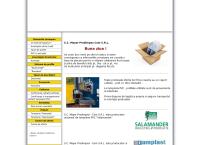 Mayer Prodimpex Com SRL
