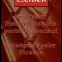 Catalog Lider
