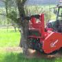 Mulcer forestier AHWI