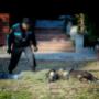 Încărcat de vizitator în 05.02.2016 