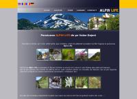 Website Alpin Life