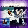 Bihor INFIINTARE PFA, profesii libere conform legii.Tel.0753 673 328