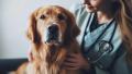 Curs Tehnician veterinar