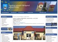 Website Primaria Comunei Baraganul