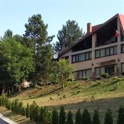 Ajvps Alba