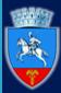 Primaria Municipiului Calarasi