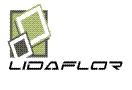 Lidaflor SRL