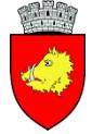 Primăria Roman