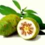 www.remediulmeu.ro-fructe noni