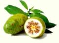 Noni Liquid-18 aminoacizi esentiali