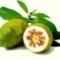 www-remediulmeu-ro-Noni