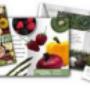 Cataloage, Brosuri, Reviste