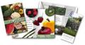 Cataloage, brosuri, reviste