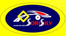 Sorisilv Com SRL