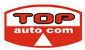 Top Auto Com
