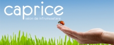 Caprice Beaute SRL