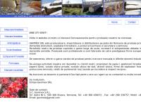 Website Gavimex