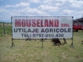 Mouse Land SRL