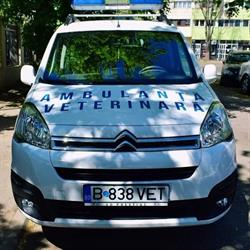 Crystal Vet - Urgente Veterinare Non Stop