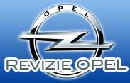 Revizie Auto Online SRL