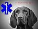 Cabinet Veterinar -Dr Bobu Cristian