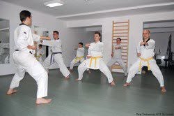 Best Taekwondo Wtf