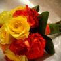 Buchet