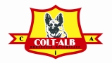 Colt Alb