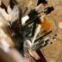Make-up