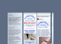 Website Perfect Clean