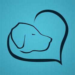 Hera's Clinic Vet