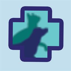 Promedivet