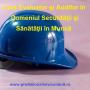 Curs Evaluator Auditor SSM