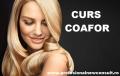 Curs Coafor (Hair Style)