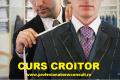 Curs-Croitor