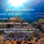 Cursuri scufundari-scuba diving-scafandri