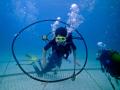 Curs scufundari copii - NAUI Junior Scuba Diver