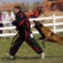 Sport canin: MONDIORING