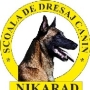 Scoala Dresaj Canin Nikarad