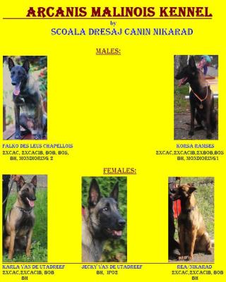 Canisa-Arcanis-2014