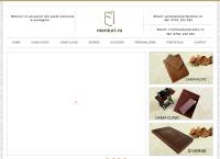 Website Artpromo