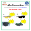 LICHIDARE STOC