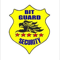 Bit Guard Security