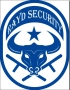 Rayd Security