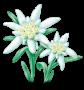 Edelweiss Gardens