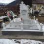 Încărcat de vizitator în 06.03.2016 