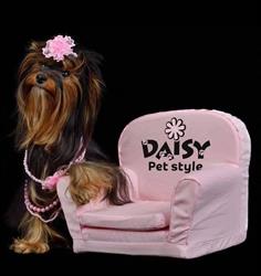 Daisy Pet Style
